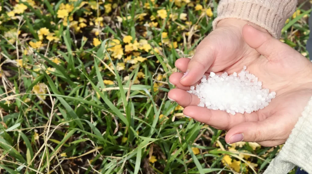 Les jardiniers sont encouragés à saupoudrer leur pelouse d'un produit de bain à 1€ pour stimuler la pousse de l'herbe avant l'été.